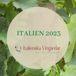 Är du redo för planering av din resa till Italien 2023? 
Vi har vingårdsboende i Toscana, Piemonte, Lombardiet och Veneto. Nu har vi uppdaterat alla priser på hemsidan. Den som bokar i tid är vis! 
#vingårdsupplevelser #italienskavingårdar #bokaitid