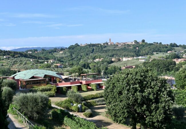 Utsikt från vineriet mot Montecarlo